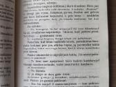 Gi De Mopasanas "Mont Oriolis" - nuotraukos Nr. 8