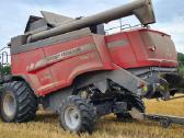Massey Ferguson 7347 S Activa - nuotraukos Nr. 3