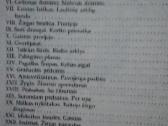 Karo takas - nuotraukos Nr. 4