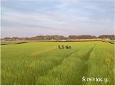 Domeikavoje. Graži vieta įvairiai veiklai. 1,2 ha - nuotraukos Nr. 13