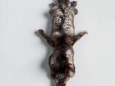 Parduodamas Didelės Sidabrinės Lapės Kailis - nuotraukos Nr. 2