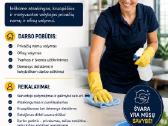 Privačių namų valymas. Darbas aplink Kopenhagą - nuotraukos Nr. 2