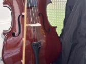 Vaikiska violancele - nuotraukos Nr. 3