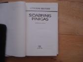 Mykolas Sluckis "Sidabrinis pinigas" - nuotraukos Nr. 2
