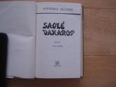 Mykolas Sluckis "Saulė vakarop" - nuotraukos Nr. 2