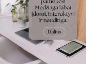Nuotolinės anglų kalbos pamokos su Evelina - nuotraukos Nr. 8