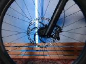 Orbea Wild M10 su garantija - nuotraukos Nr. 14