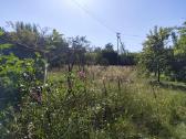18 a. sklypas Daubėnuose su namu, gera vieta - nuotraukos Nr. 22