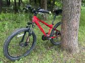 Carrera junior blast 24 inch - nuotraukos Nr. 2