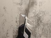Bissell Crosswave Cordless Advanced (modelis 2582n - nuotraukos Nr. 3
