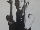 Prince - nuotraukos Nr. 8