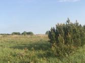 Žemės sklypas Pakerų km., Plungė - nuotraukos Nr. 4