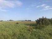 Žemės sklypas Pakerų km., Plungė - nuotraukos Nr. 8