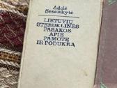Tautosaka, folkloristika - nuotraukos Nr. 2
