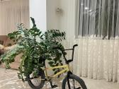 Custom BMX - nuotraukos Nr. 2