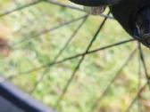 Sport Trail - nuotraukos Nr. 14