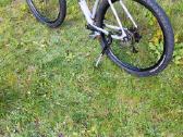 Sport Trail - nuotraukos Nr. 3