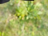 Sport Trail - nuotraukos Nr. 18