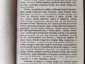 Gi De Mopasanas "Stipri kaip mirtis" - nuotraukos Nr. 5
