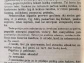Gi De Mopasanas "Stipri kaip mirtis" - nuotraukos Nr. 9