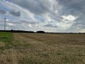 Ariamos žemes sklypas 12,37 ha ilgalaikei nuomai - nuotraukos Nr. 6