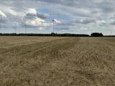 Ariamos žemes sklypas 12,37 ha ilgalaikei nuomai - nuotraukos Nr. 7