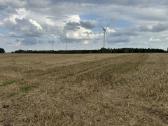 Ariamos žemes sklypas 12,37 ha ilgalaikei nuomai - nuotraukos Nr. 8