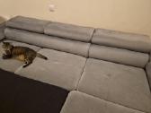 Dovanojama sofa lova. Rezervuota - nuotraukos Nr. 2