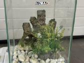 Aquael Shrimp Set 10 l akvariumas - nuotraukos Nr. 2