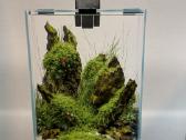 Aquael Shrimp Set 10 l akvariumas - nuotraukos Nr. 3