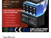 Neata 12v-100ah Lifepo4 +pakrovejas Neata - nuotraukos Nr. 5