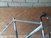 Remas batavus 56cm - nuotraukos Nr. 2