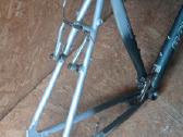 Remas batavus 56cm - nuotraukos Nr. 3