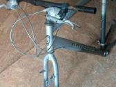 Remas batavus 56cm - nuotraukos Nr. 4