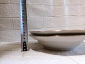 2 gilios lėkštės su gėlėmis Jekabpils Jlm 24 cm - nuotraukos Nr. 6