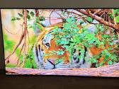 Samsung Ue65bu8572u 4k Hdr 2023m Smart TV - nuotraukos Nr. 3
