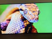 Samsung Ue65bu8572u 4k Hdr 2023m Smart TV - nuotraukos Nr. 5
