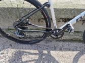 Basso tera XL gravelis - nuotraukos Nr. 2