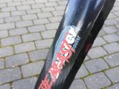 Beaster scooter - nuotraukos Nr. 8