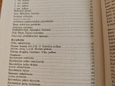 Lietuvos ginkluotos pajėgos 1918-1940 - nuotraukos Nr. 3