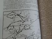 Lietuvos kariuomenė Nepriklausomybės kovose - nuotraukos Nr. 6
