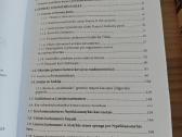 Lietuvos kariuomenės istorija 1918-1941 - nuotraukos Nr. 2