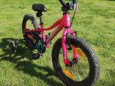 Specialized dviratukas - nuotraukos Nr. 3