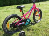 Specialized dviratukas - nuotraukos Nr. 4
