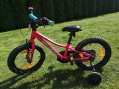 Specialized dviratukas - nuotraukos Nr. 2