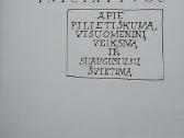 Idėjos ir iniciatyvos - nuotraukos Nr. 2