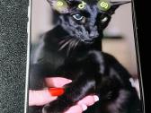 iPhone 17 Promax 256gb - nuotraukos Nr. 4