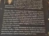 Keistos gėlės - nuotraukos Nr. 4