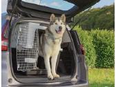 Didelė transportavimo dėžė, labai geros būklės. - nuotraukos Nr. 14