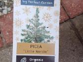 Eglutė - nuotraukos Nr. 2